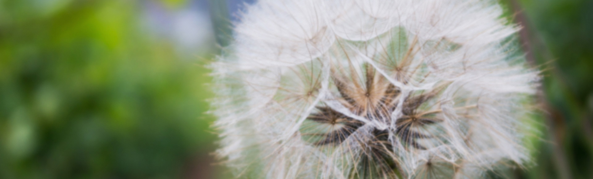 ��Ѷ������Ѷ����