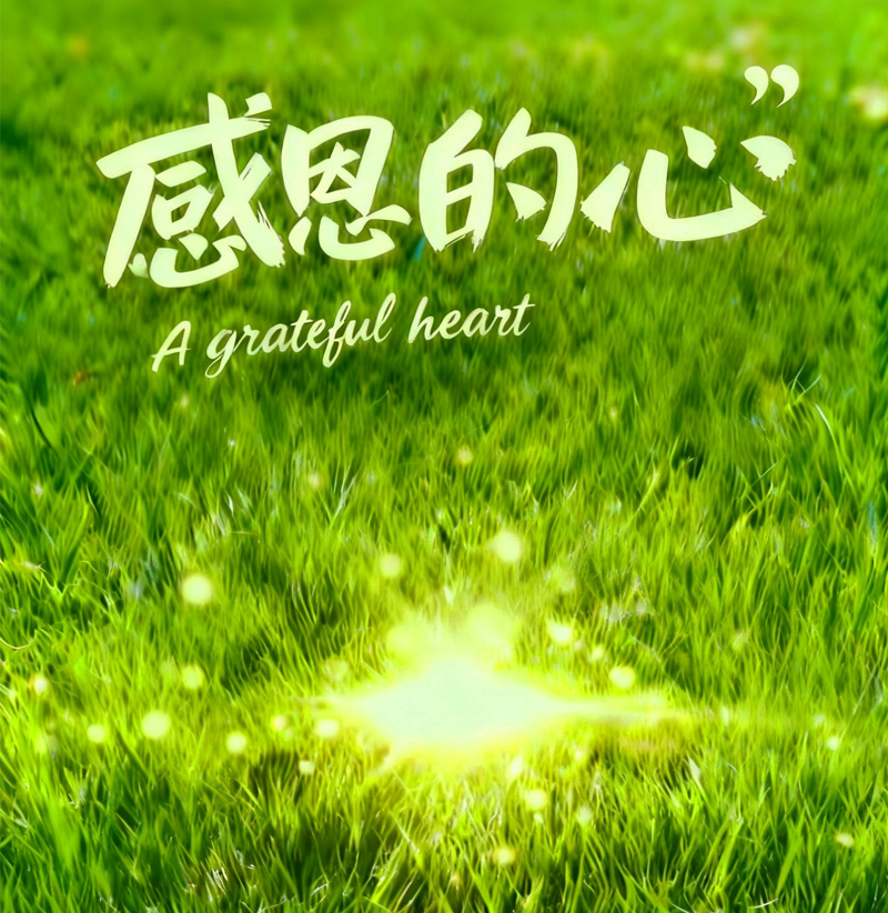 ��Ѷ��������